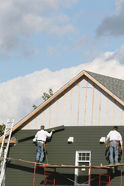 Best Same-Day Junk Removal Services  in Shadeland, IN