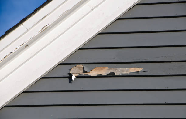 Best Shed Removal  in Shadeland, IN